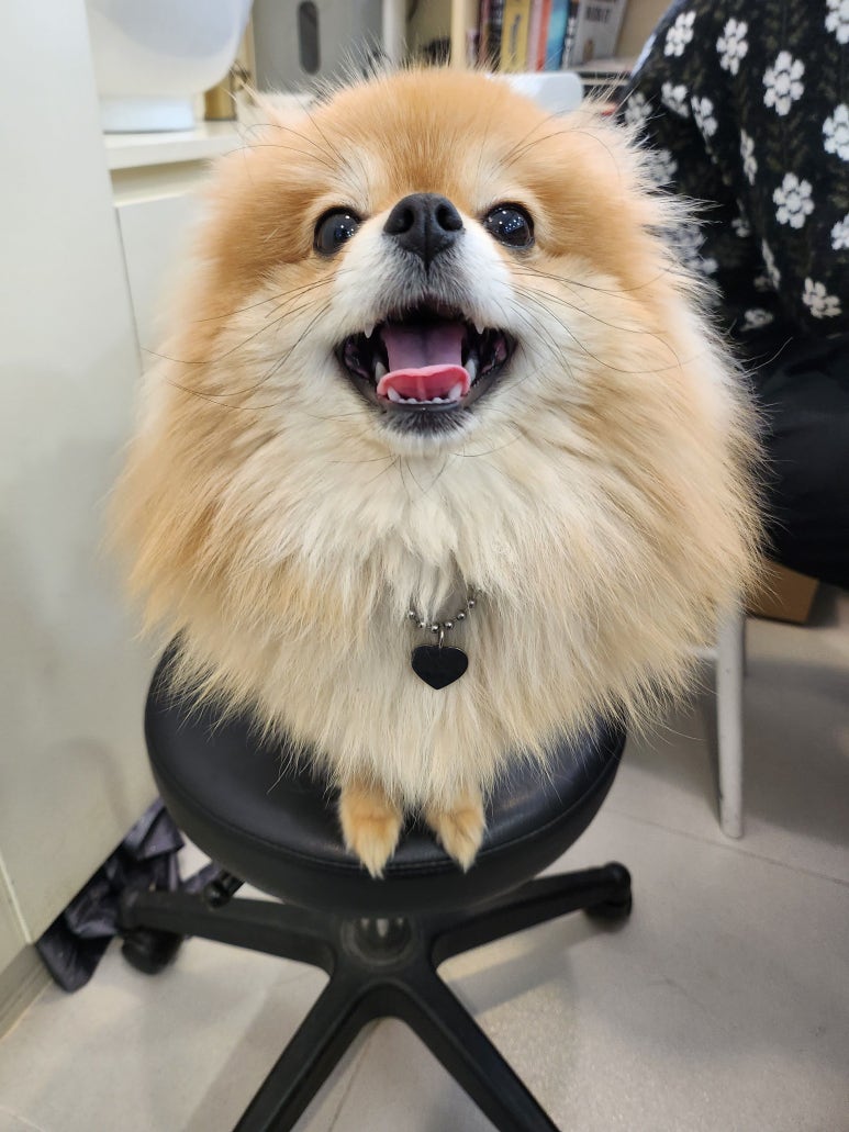 옥희미용실 이미지