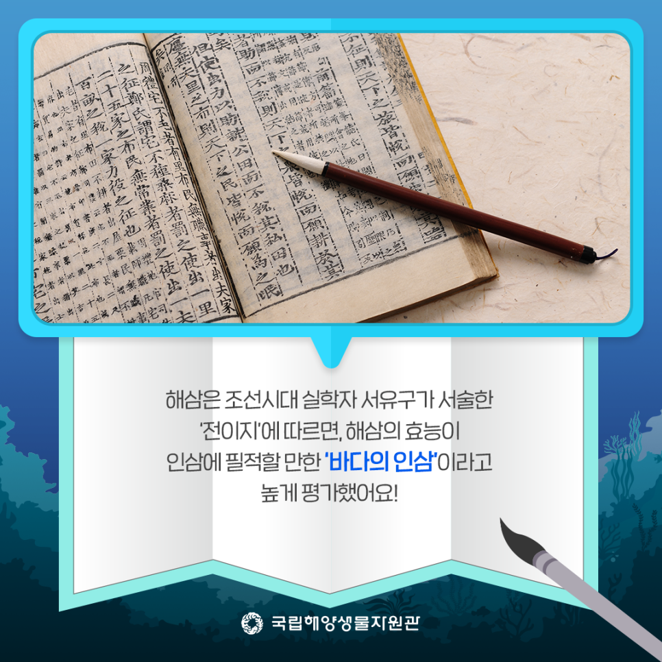 해양슈퍼 이미지