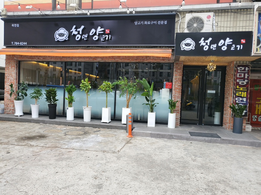 청년양고기 이미지