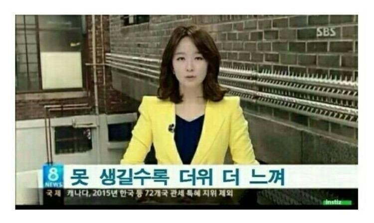 버거플렉스 이미지