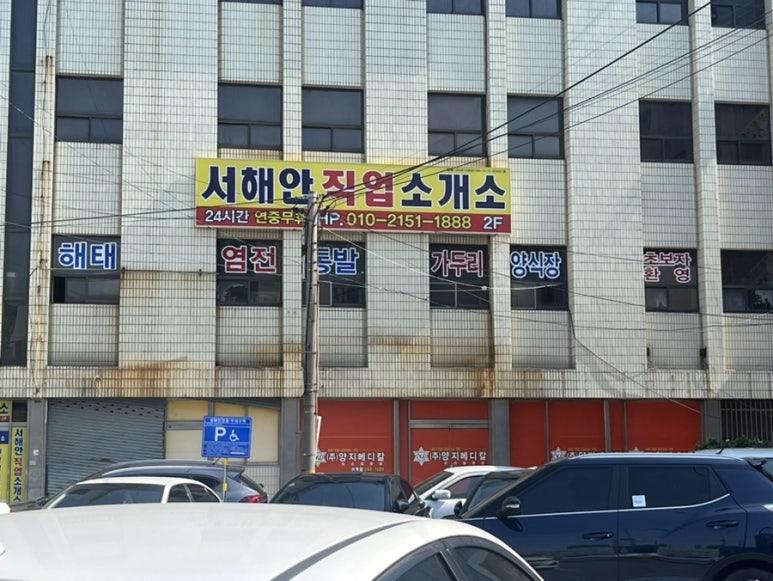 씨티직업소개소 이미지
