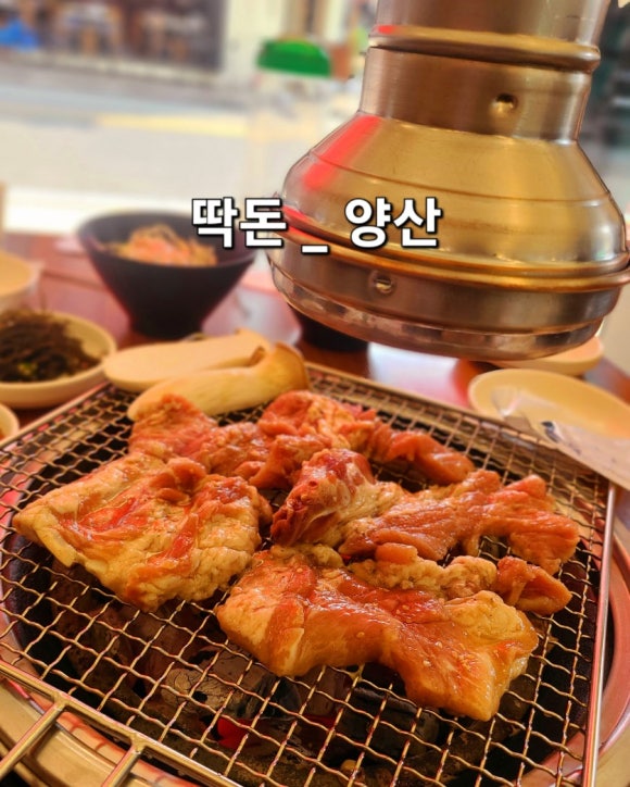 딱돈 이미지