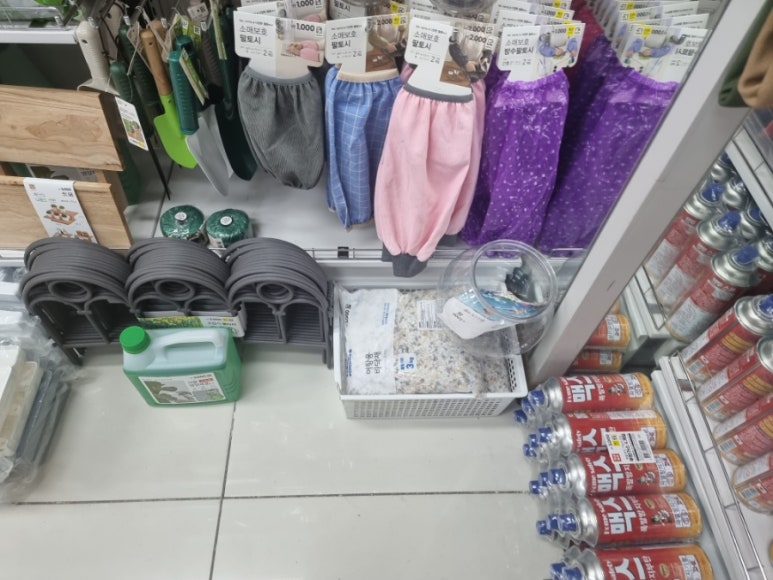 다이소영월점 이미지