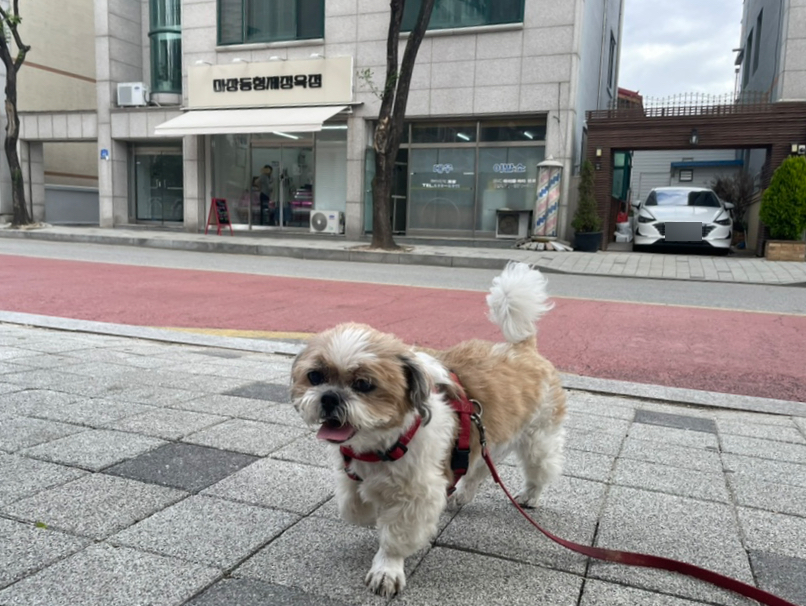 마장동형제정육점 이미지