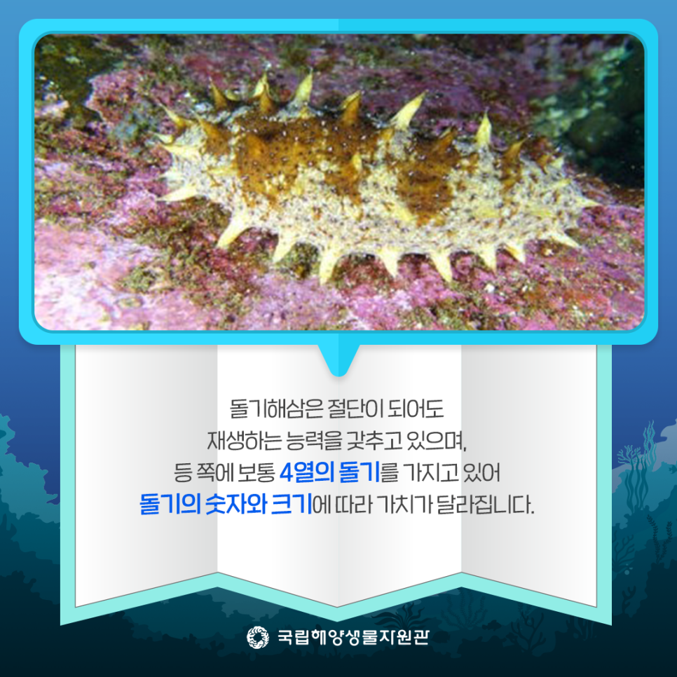 해양슈퍼 이미지