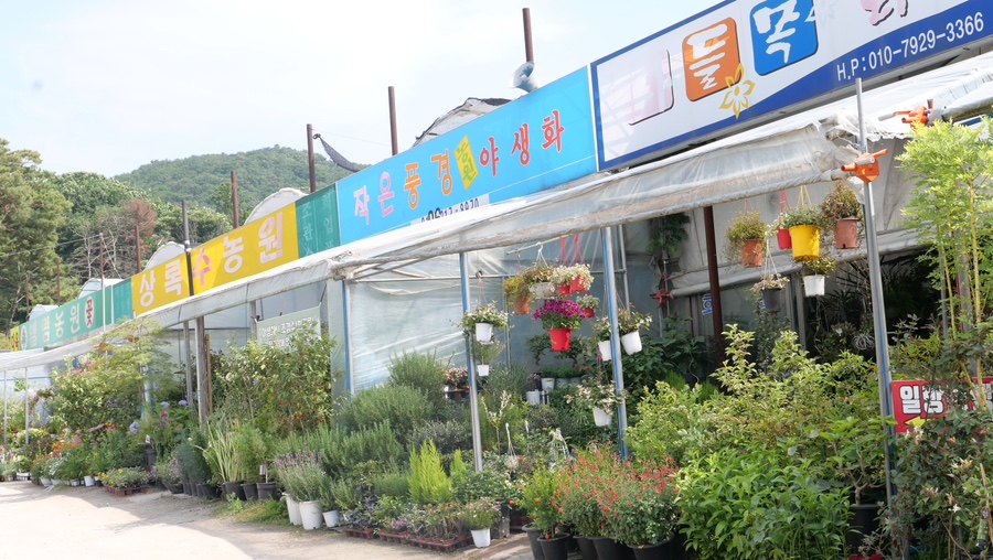 해성꽃농원 이미지