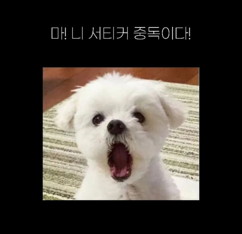 얌얌 이미지