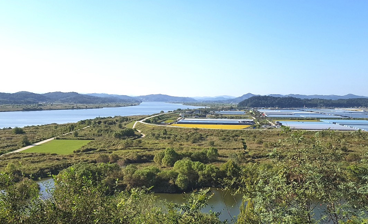 팔도물산 이미지