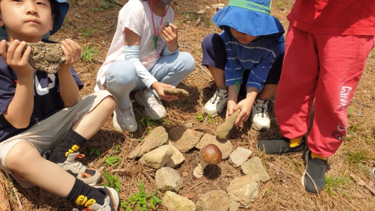 송산물빛 유아숲체험원 이미지
