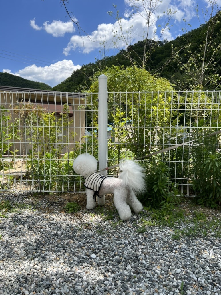 헤이;칠러 이미지