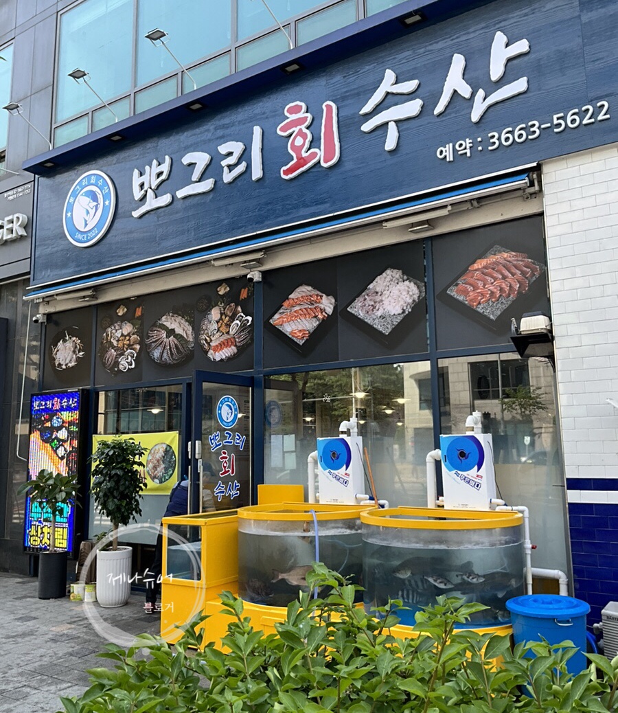 뽀그리회수산 이미지