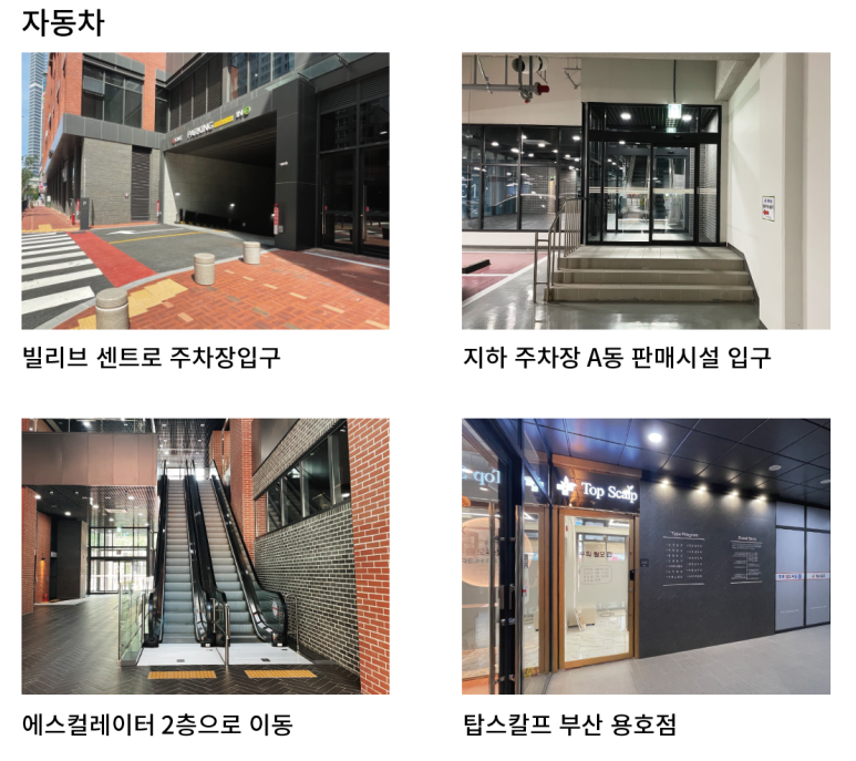 온스칼프 이미지