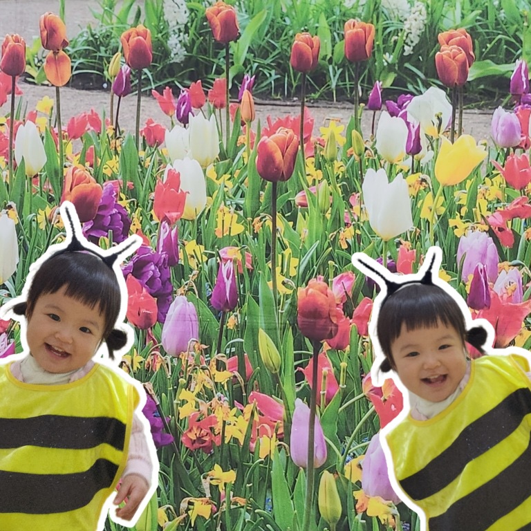 알파리움숲 어린이집 이미지