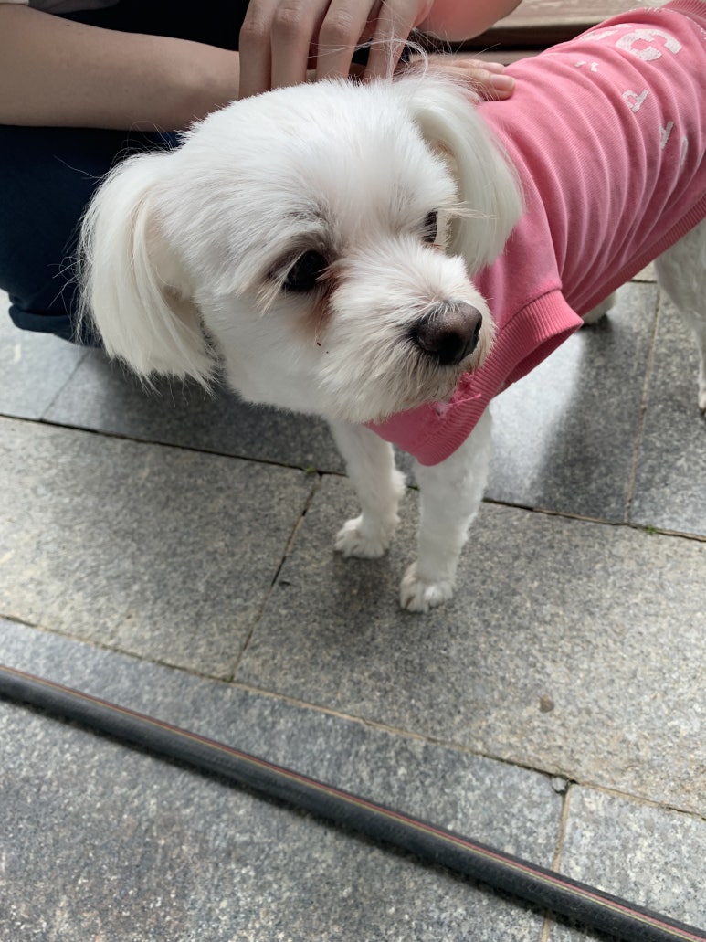 백두산휴게소 이미지
