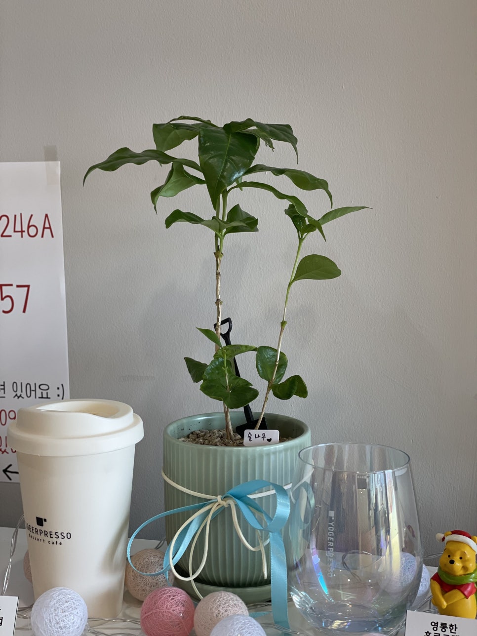 BHC 김포걸포점 이미지