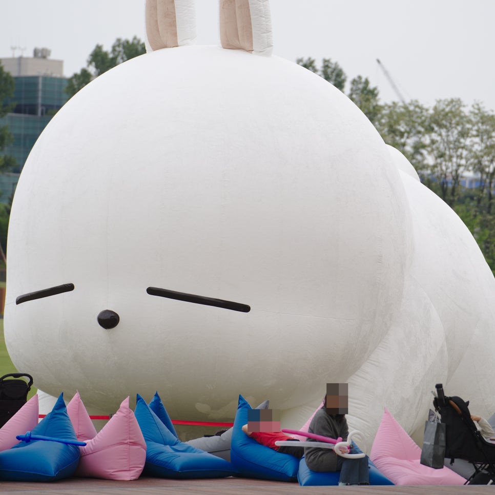 티트리렌탈 이미지