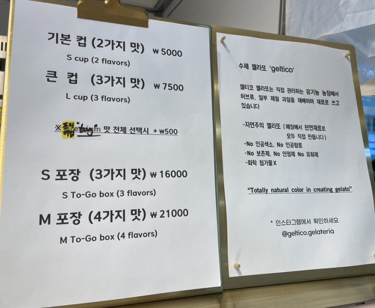 젤티코 이미지