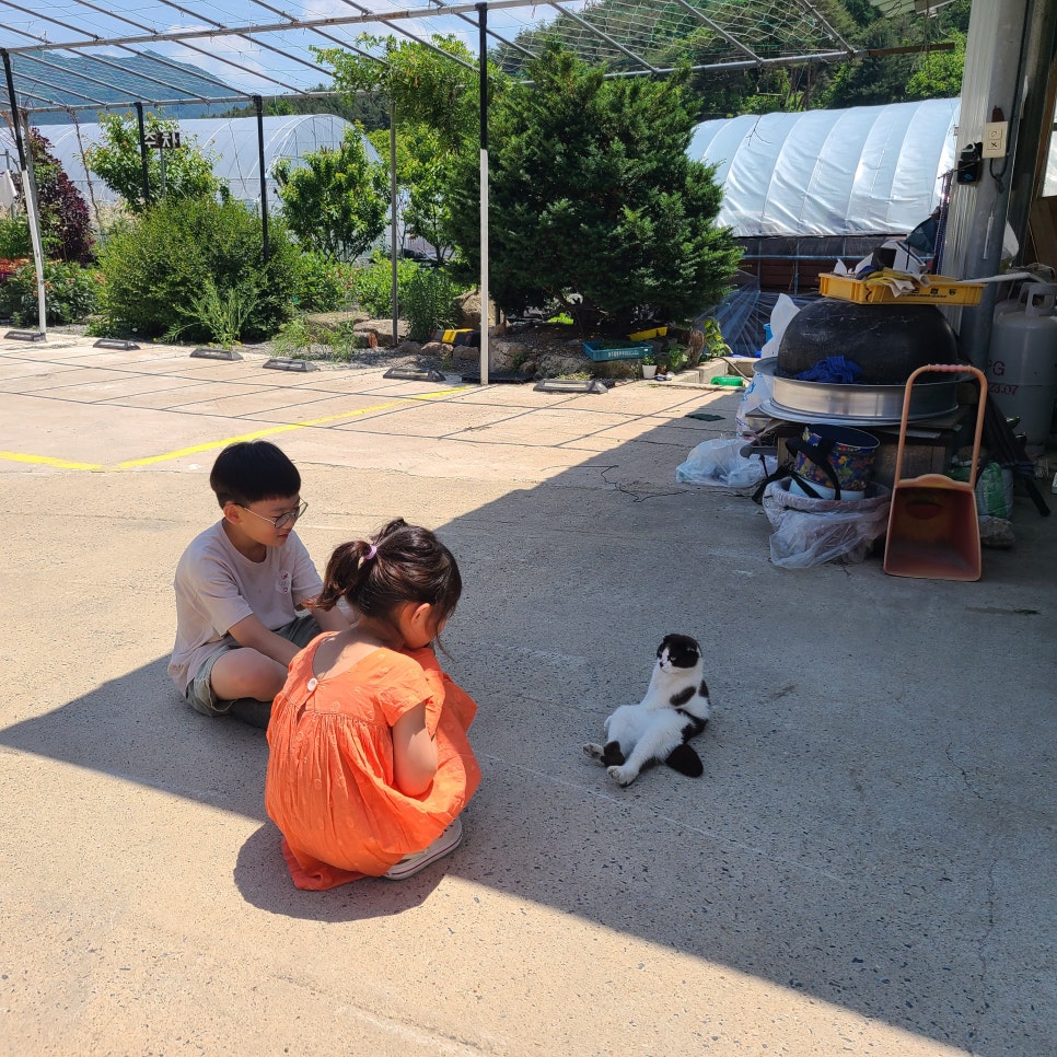 카페여연 이미지