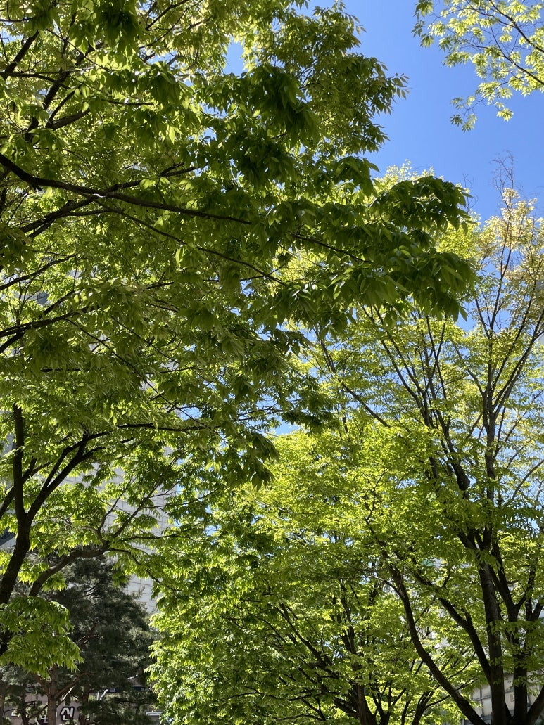 김가네뚝섬유원지역점 이미지