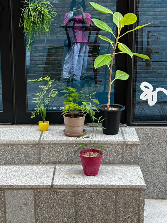 피비커피바(phoebe coffee bar) 이미지