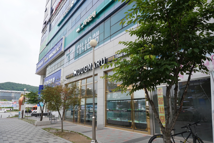 희코네일 이미지