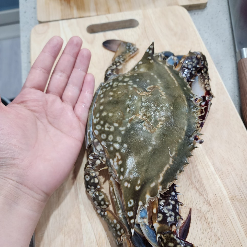 꽃게알맘마 이미지