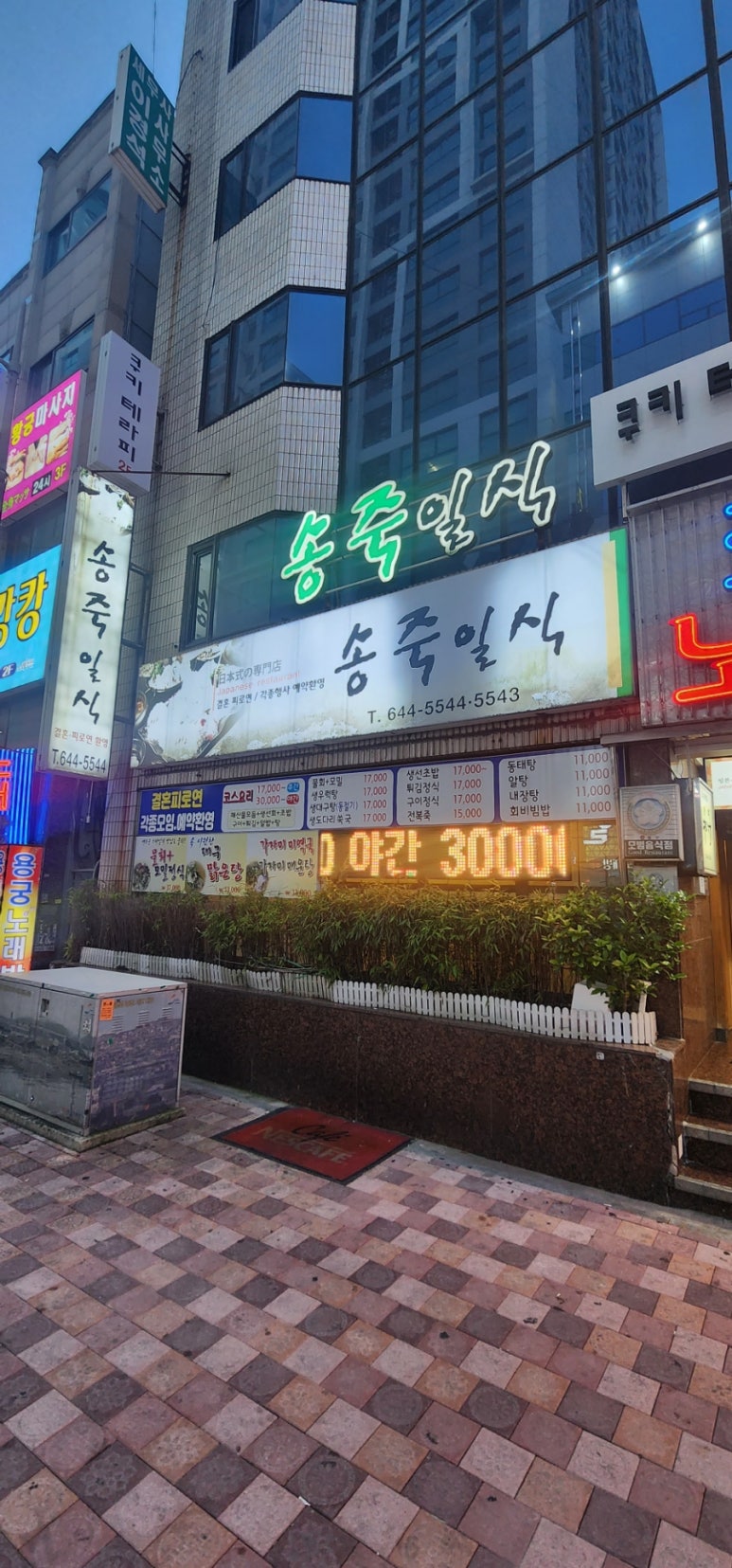 송죽일식 이미지