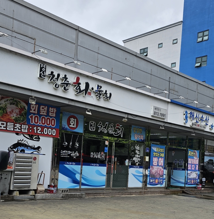 청춘회물회 이미지