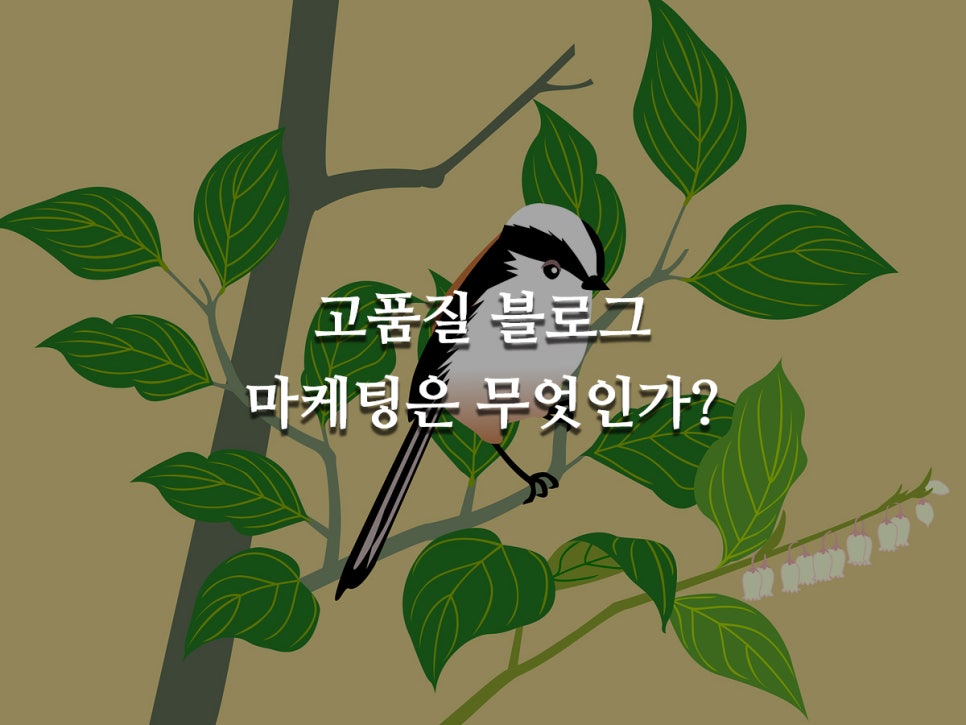 제이엔에스유통 이미지