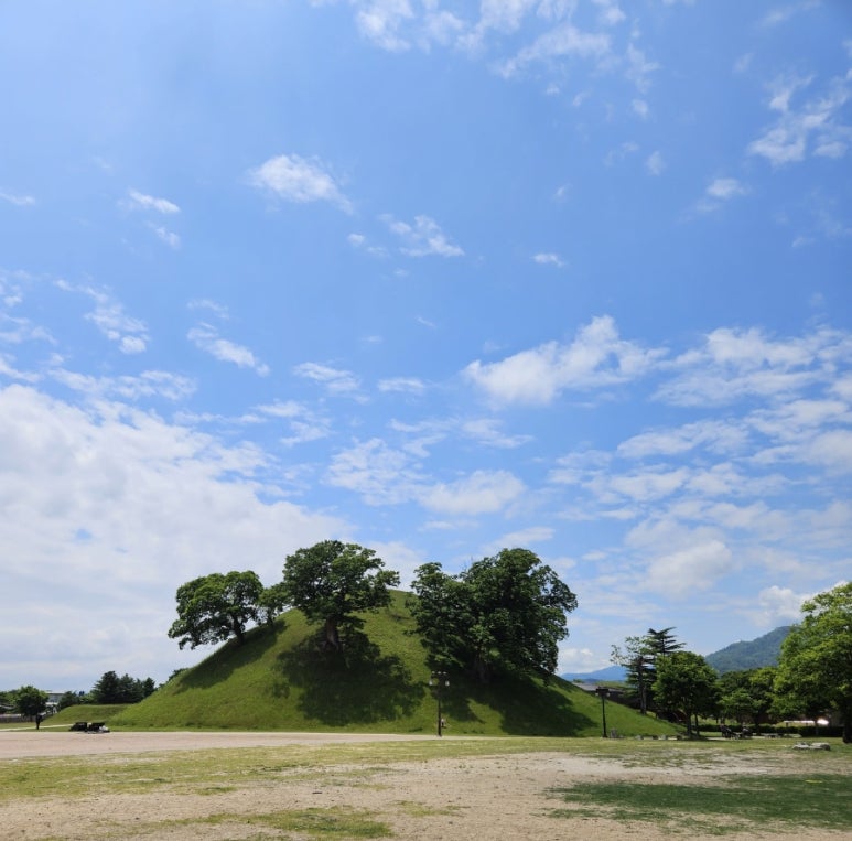 Gyeongju(경주)십원빵 이미지