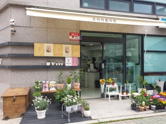 조이아플라워 이미지