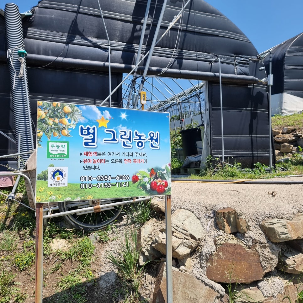 별;그린 이미지