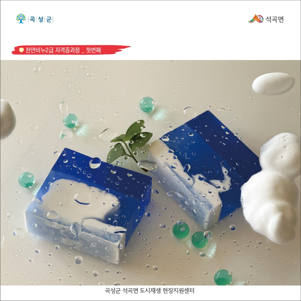 센트롯지 이미지