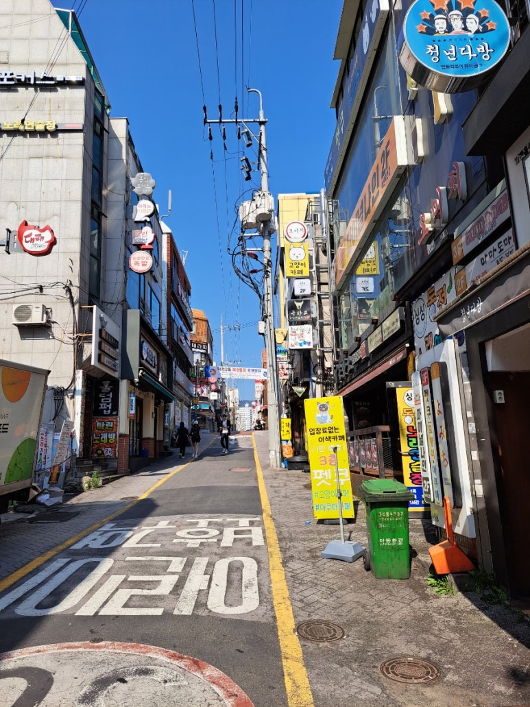 싱싱노래연습장 이미지