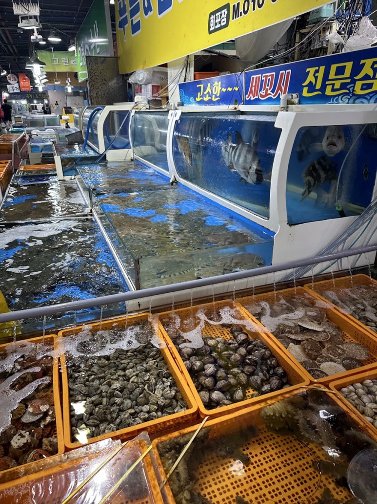 라온수산 이미지