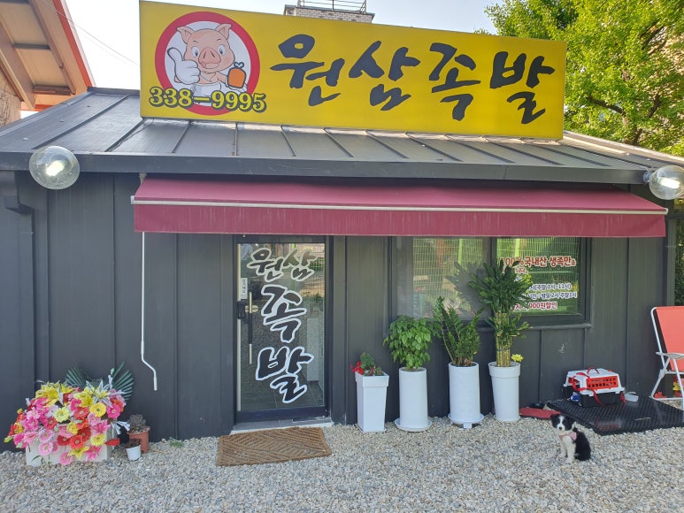원삼족발 이미지