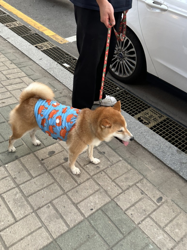 주은헤어샵 이미지