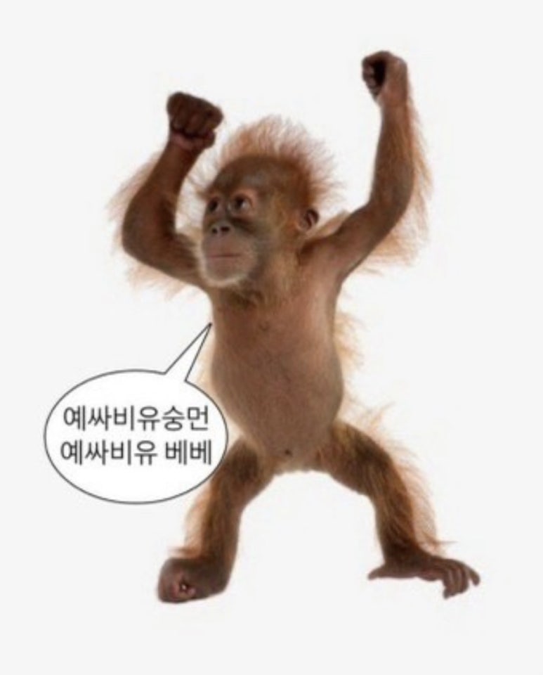 혼키라멘 이미지