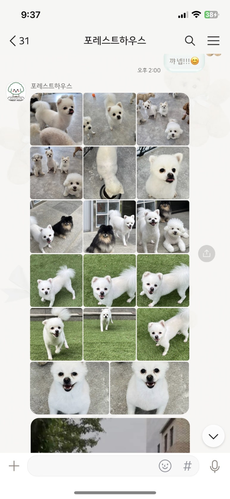 카발통 이미지