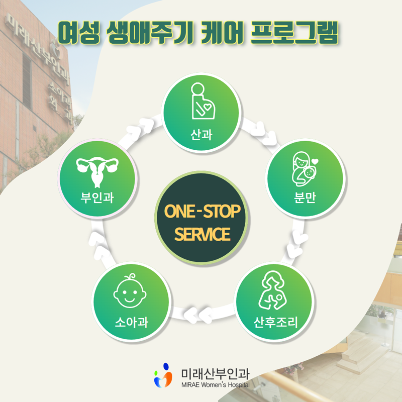 춘천365시스템 이미지