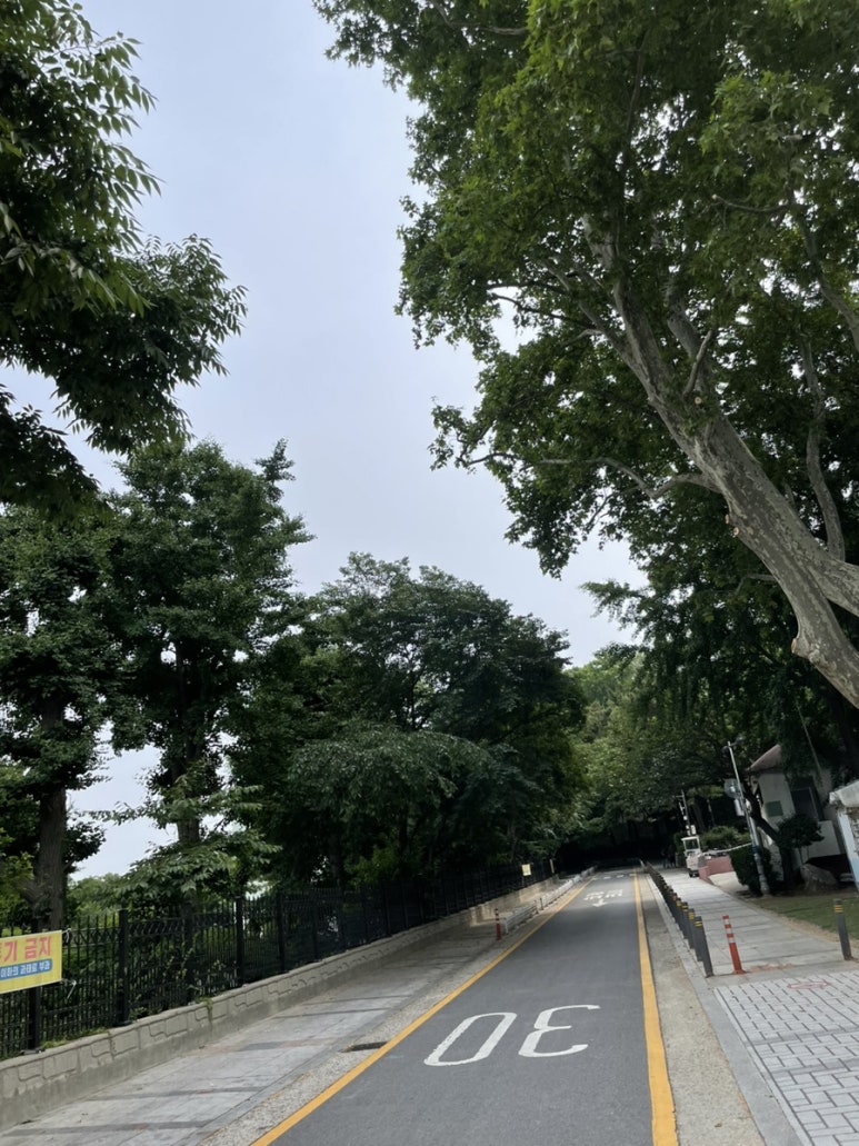 명동한식뷔페명동밥차 이미지