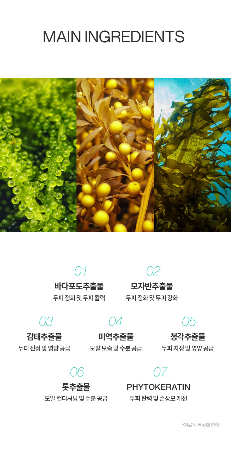 오션에너지 이미지