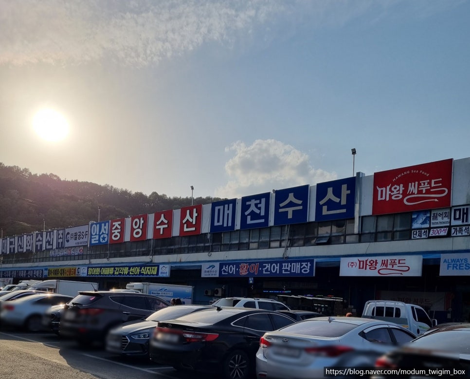 매천회센터 이미지