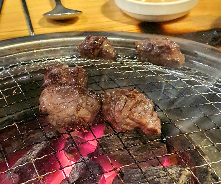 꽃보다소 이미지