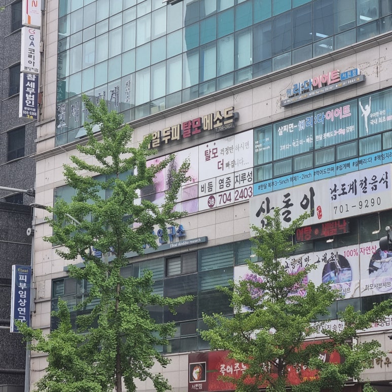 독일WT메소드 이미지