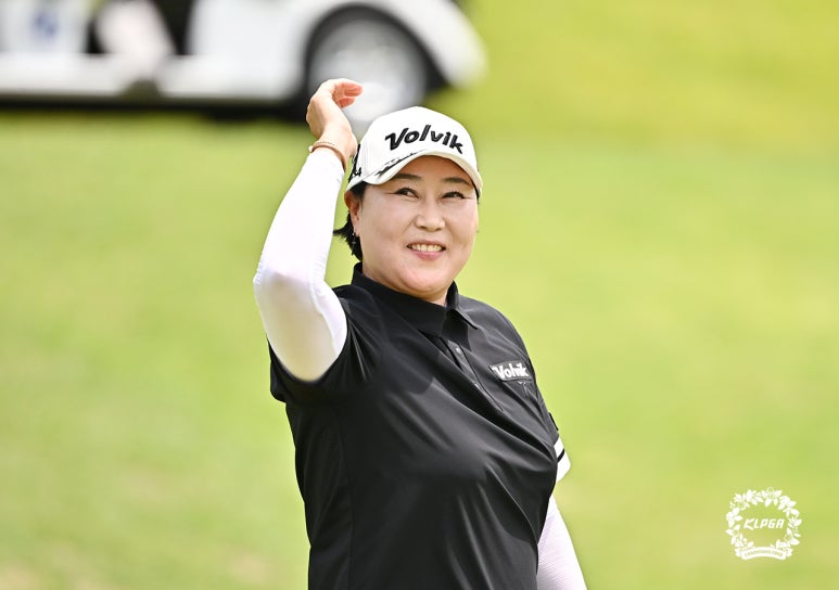 안성감리 이미지
