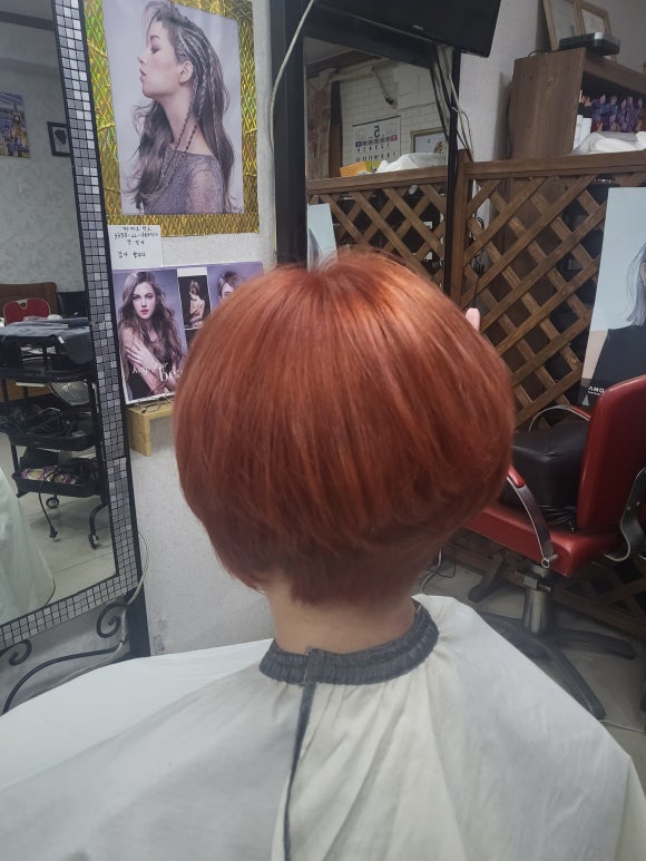 박정숙미플러스 이미지