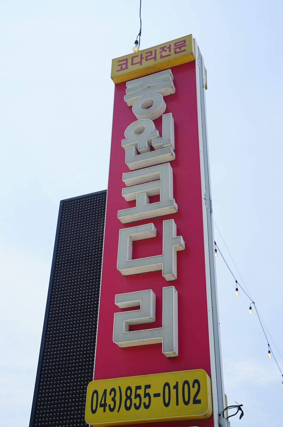 중원코다리 이미지