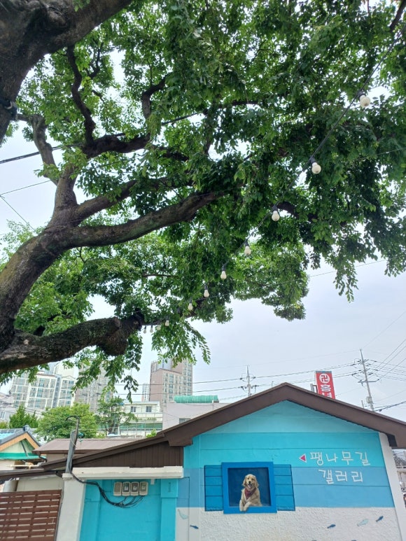 무계헌협동조합 이미지