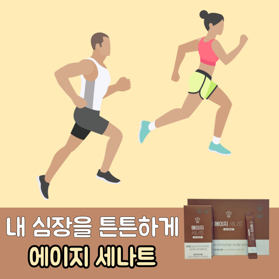 팜코덱스 이미지